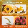 10 (7) J'FLORU Artificial Fall Wreath 22 Inch Fall Wreaths for Front Door Autumn Porch Farmhouse Thanksgiving Day Harvest Festival Handmade with Colorful Autumn Flowers Foliage for Porch Farmhouse Thanksgiving Harvest Festival